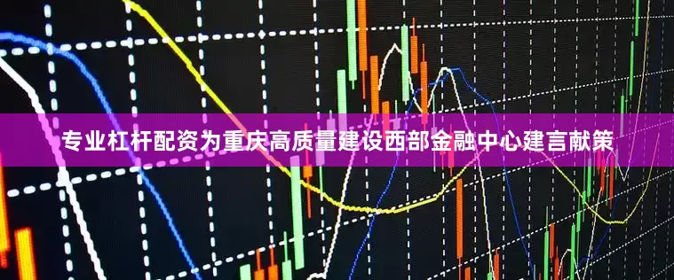 专业杠杆配资为重庆高质量建设西部金融中心建言献策