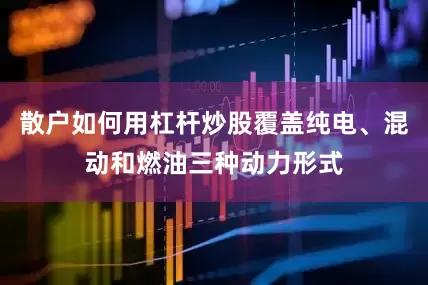 散户如何用杠杆炒股覆盖纯电、混动和燃油三种动力形式